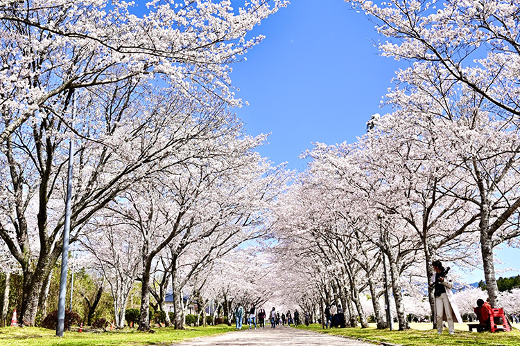 忠元公園